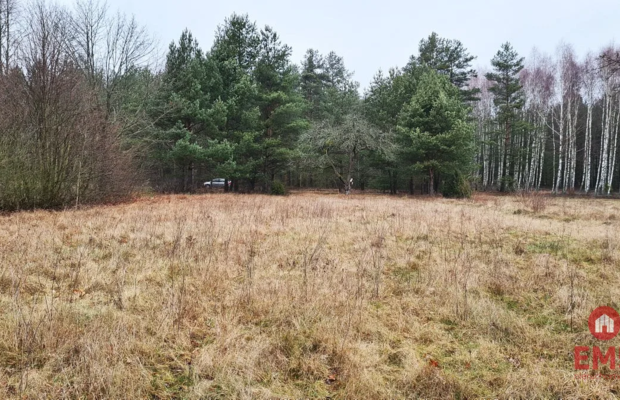Działka 1900 m2. Pieńki