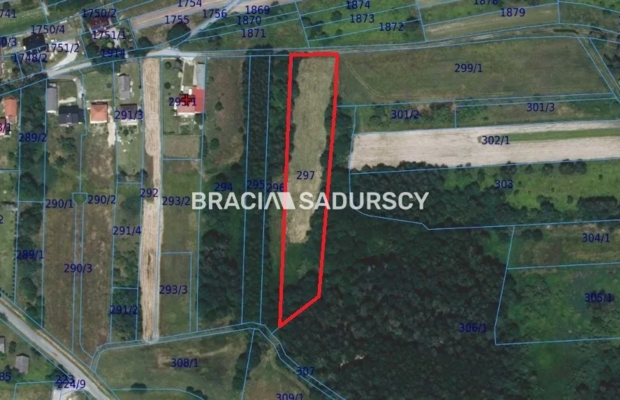 Panoramiczna Działka Rezydencjalna 53a z Widokiem na Babią Górę | Przeginia Narodowa 

  Ostatnia linia zabudowy, południowa ek