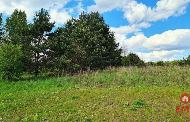 Działka rolno-budowlana 5528 m2