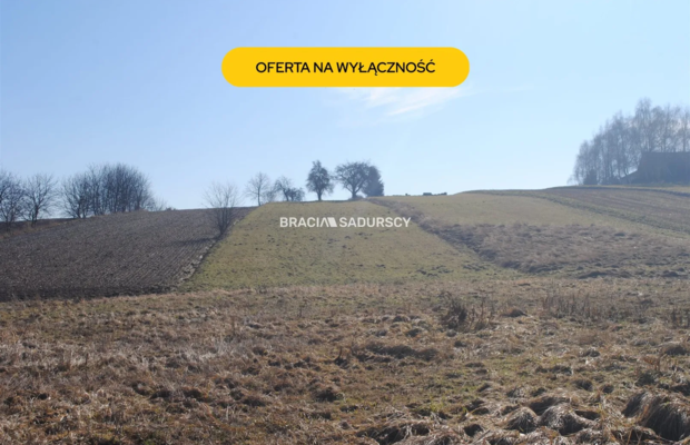 Duża działka budowlano-rolna w Bodzanowie