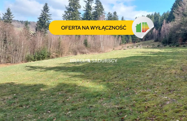 Działka rolna z możliwością zmiany na budowlaną