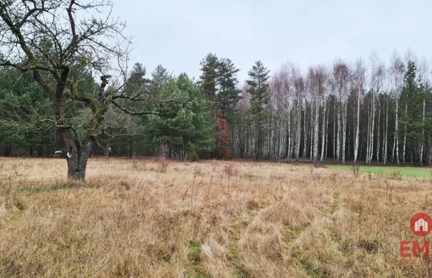 Działka 1900 m2. Pieńki