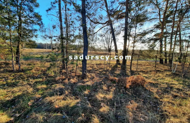 Bardzo ładna działka budowlana 2500m2 w Baniosze, gm. Góra Kalwaria, na terenach zielonych, w otulinie Chojnowskiego Parku Kraj
