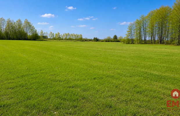Działka rolno-budowlana 2,5 ha. Nowosiółki