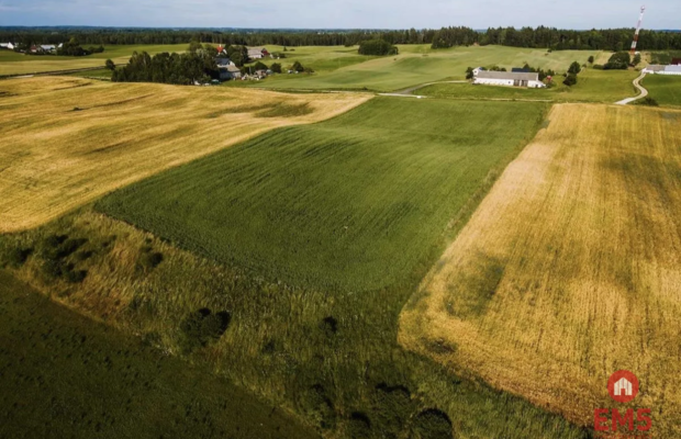 Działka - Żegary, gm. Sejny