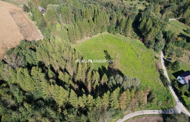 Działka budowlana 8900 m2 Poręba Żegoty