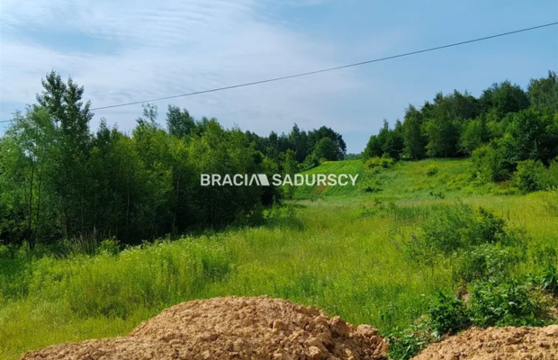 Duża działka przemysłowo-usługowa w Bodzanowie.