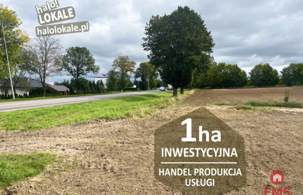 Działka inwestycyjna przy drodze