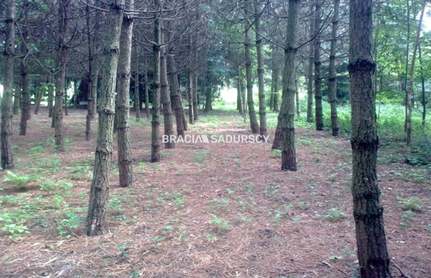 Wolnostojący dom ok. 600 m2