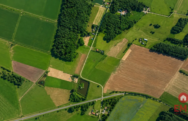 Działka rolno-budowlana 2,5 ha. Nowosiółki