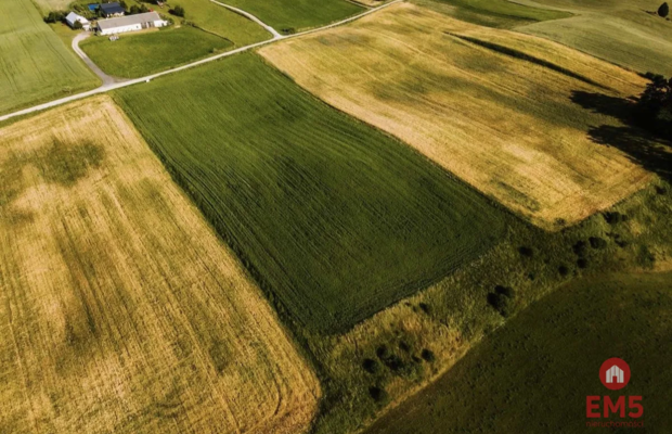 Działka - Żegary, gm. Sejny