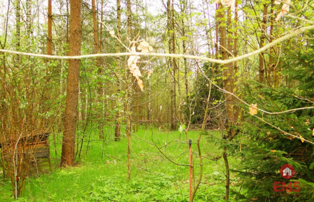 Działka rekreacyjno-budowlana 0,8 ha, pod miastem