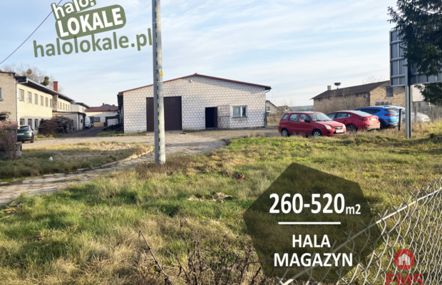 Budynek do wynajęcia  260-520 m2.