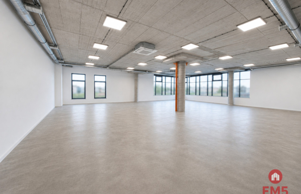 Lokal użytkowy 200 m2. Fitness, zajęcia ruchowe.
