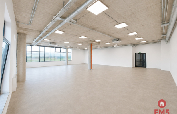 Lokal użytkowy 200 m2. Fitness, zajęcia ruchowe.