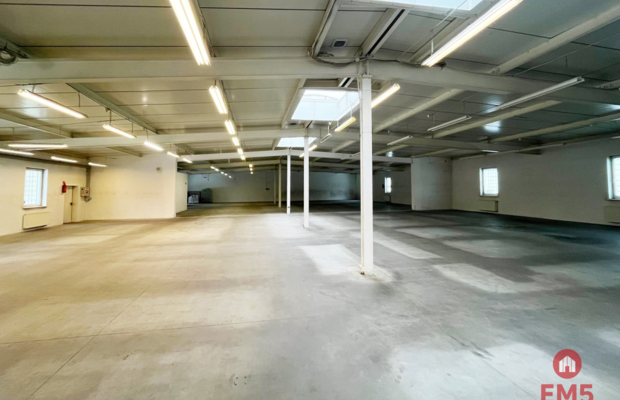 Pow. 1100 m2 przy Parku Handlowym