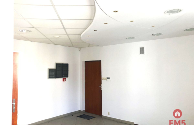 Ścisłe centrum 300 m2 parter plus piętro