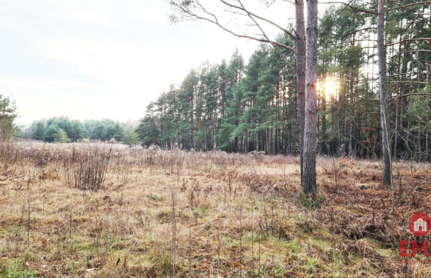 Działka 8500 m2, Jurowce