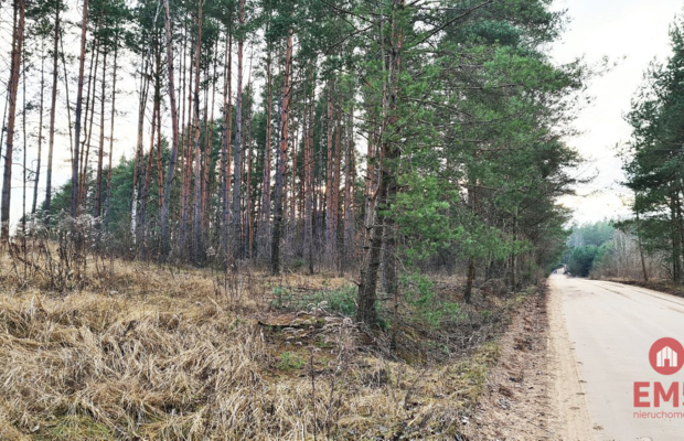 Działka 8500 m2, Jurowce