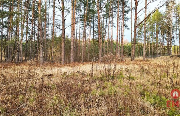 Działka 8500 m2, Jurowce
