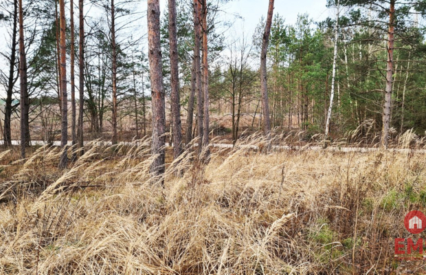 Działka 8500 m2, Jurowce