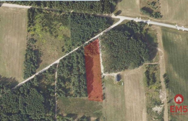 Działka 8500 m2, Jurowce