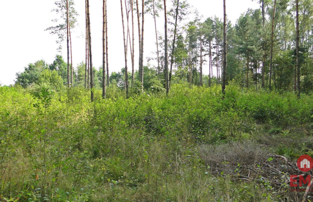 Budowlano - rolna 1,04 ha. Pod miastem