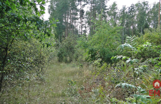 Budowlano - rolna 1,04 ha. Pod miastem