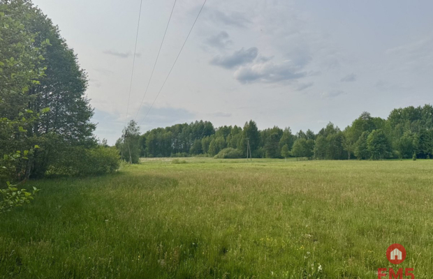Działka w  Kosmatym Borku