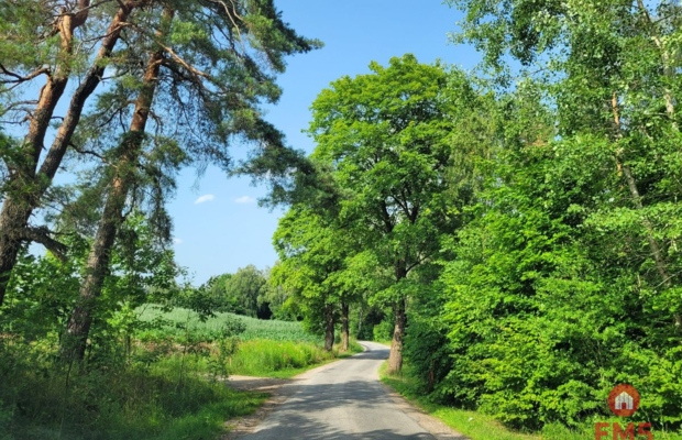 Mazury, jezioro Garbas, duża działka.