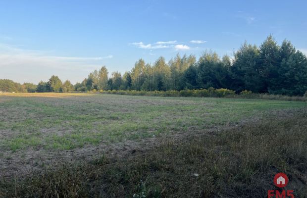 Działka rolna ok. 2 ha w gminie Czyże.