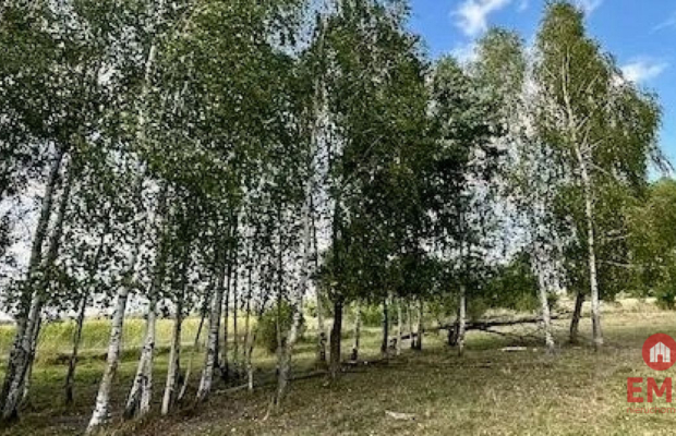 Działka budowlana 1425 m2, Rafałówka