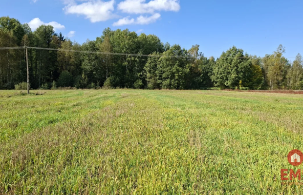 Działka pod lasem. Łubianka