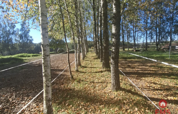 Siedlisko na Mazurach