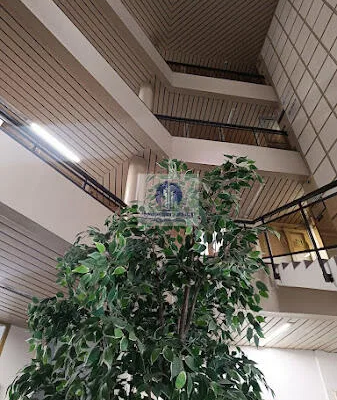 Wola: lokal biurowy 35m2 do wynajęcia