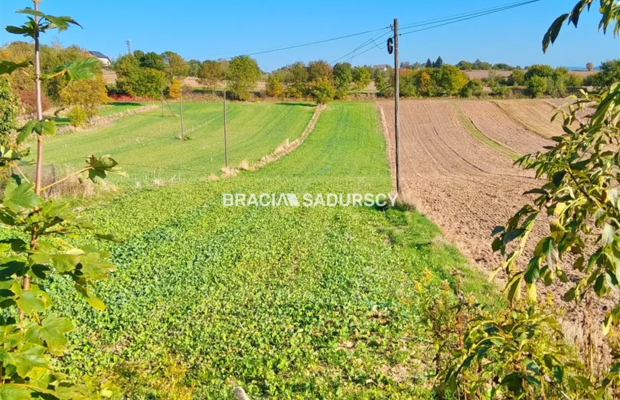 Działka budowlano-rolna w Brzeziu gm.Kłaj