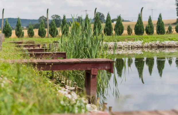Łowisko i smażalnia „Pan Pstrąg” na sprzedaż – gotowy obiekt gastronomiczno-rekreacyjny, Bolkowice k. Jawora