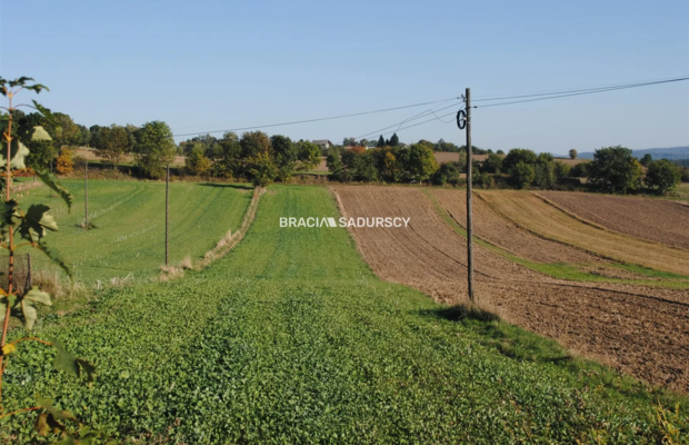 Działka budowlano-rolna w Brzeziu gm.Kłaj