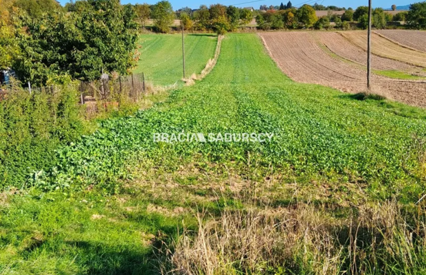 Działka budowlano-rolna w Brzeziu gm.Kłaj