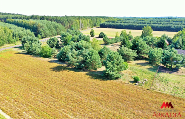 2 działki na sprzedaż - Okna,Baruchowo