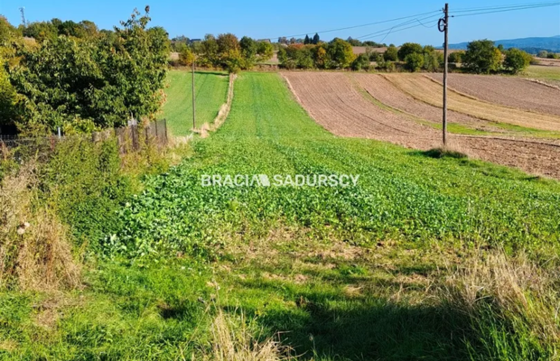 Działka budowlano-rolna w Brzeziu gm.Kłaj