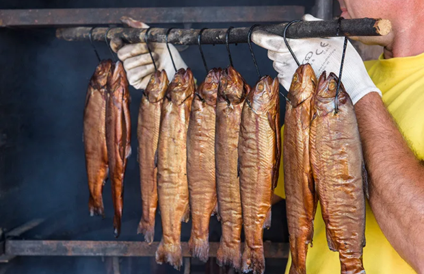 Łowisko i smażalnia „Pan Pstrąg” na sprzedaż – gotowy obiekt gastronomiczno-rekreacyjny, Bolkowice k. Jawora
