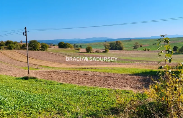 Działka budowlano-rolna w Brzeziu gm.Kłaj