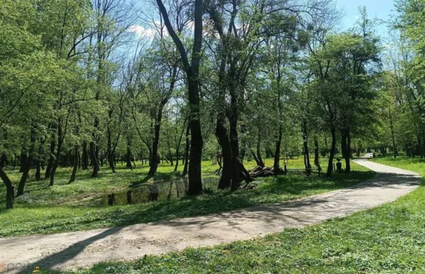 OKAZJA! MIESZKANIE PRZY PARKU!