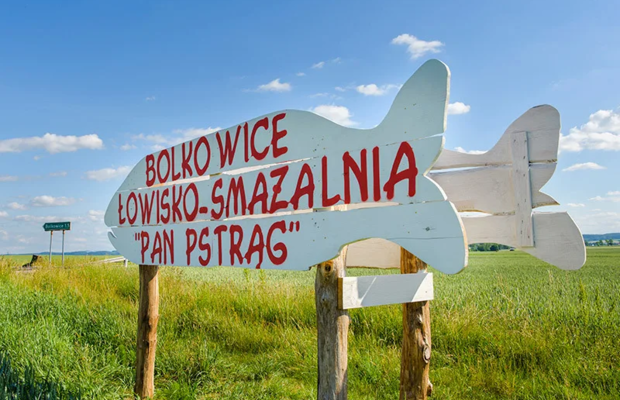 Łowisko i smażalnia „Pan Pstrąg” na sprzedaż – gotowy obiekt gastronomiczno-rekreacyjny, Bolkowice k. Jawora