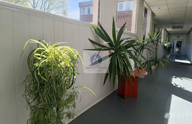 Mokotów: lokal biurowy 20m2 do wynajęcia