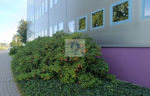 Warszawa Ursynów : lokal biurowy 40 m2 do wynajęcia