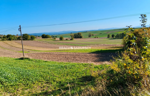 Działka budowlano-rolna w Brzeziu gm.Kłaj