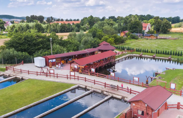 Łowisko i smażalnia „Pan Pstrąg” na sprzedaż – gotowy obiekt gastronomiczno-rekreacyjny, Bolkowice k. Jawora