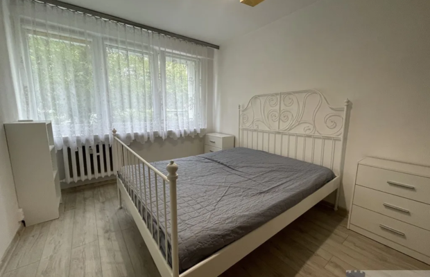 2 pokoje, parter, duża kuchnia, zielona okolica